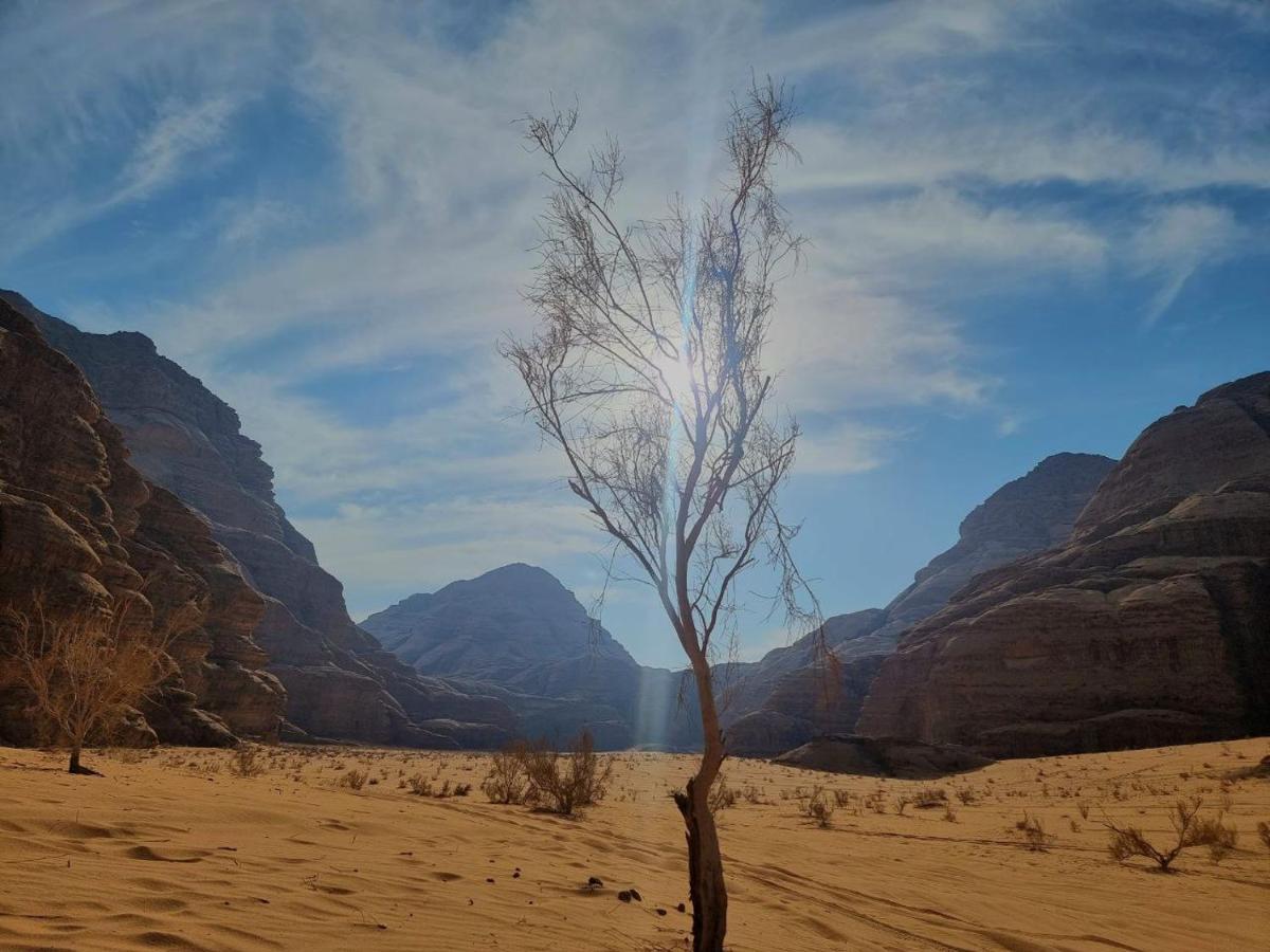 Wadi Rum Oscar Camp Экстерьер фото
